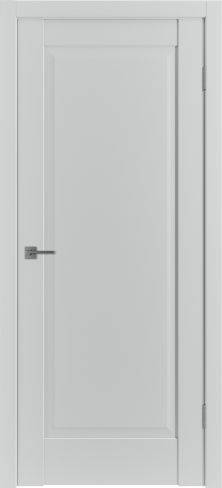 Дверь эмалекс ER1 ДГ steel