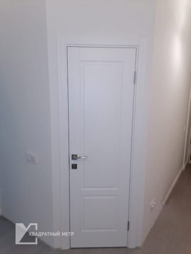 Дверное полотно Эмаль SCANDI 2P цвет Светло-серый